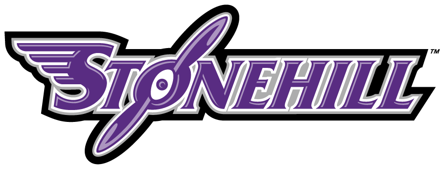 Stonehill Skyhawks 2005-2017 Wordmark Logo v3 diy DTF decal sticker